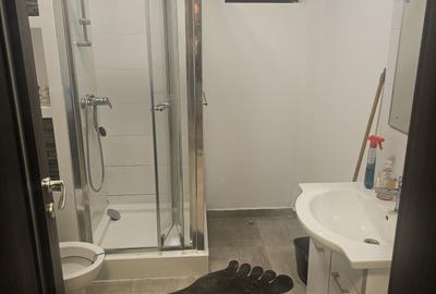 Apartament cu 2 camere decomandat în Roșu - 6