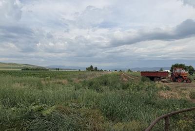 Casă cu 3 camere în Bogata