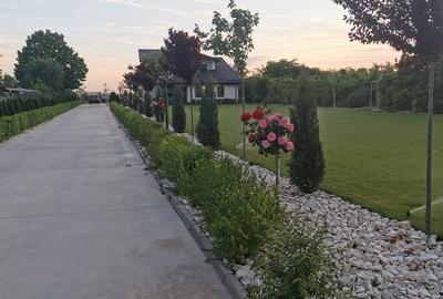 Casă cu 4 camere cu Teren 7000 Mp în Ulmi - 11