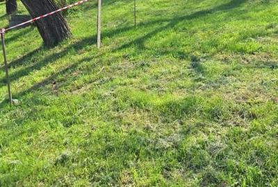 Teren construcție, în Est - 1