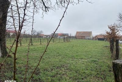 Teren de 1203 mp, în Comana - 4