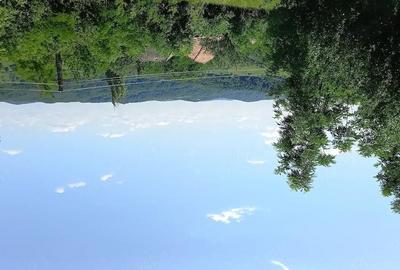 Teren de 1700 mp, în Dianu - 5