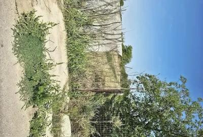 Teren de 1200 mp, în Varlaam - 6