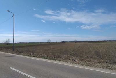 Teren de 5259 mp, în Dărăști-Ilfov - 1