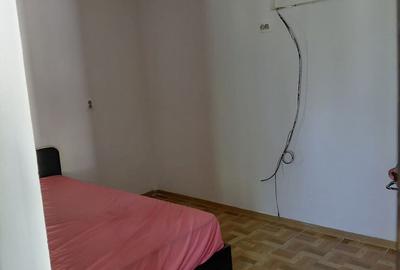 Casă cu 3 camere cu Teren 3177 Mp în Vadu Pașii - 5