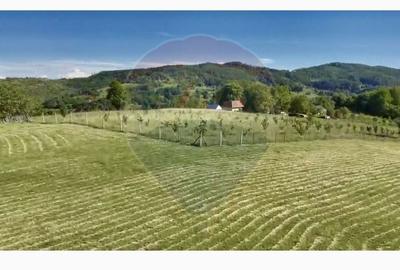 Teren agricol intravilan de 20170 mp, în Șuncuiuș - 9