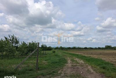 Teren de 5800 mp, în Mărăcineni - 7