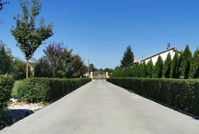 Casă cu 4 camere cu Teren 7000 Mp în Ulmi - 7