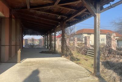 Casă cu 6 camere în Sebiș