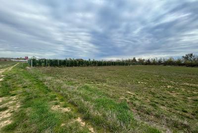 Teren intravilan de 1252 mp, în Piscu