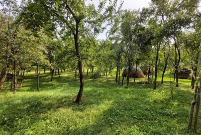 Teren Construcții intravilan de 6000 mp, în Breaza - 3