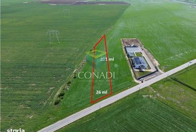Teren de 5000 mp, în Cernica - 3