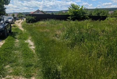 Teren Construcții intravilan de 500 mp, în 9 Mai - 3