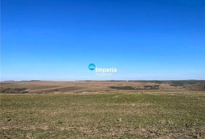 Teren agricol extravilan de 30000 mp, în Horlești (Rediu) - 3