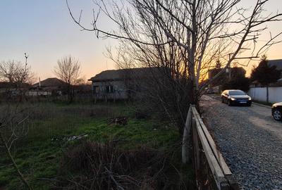Teren de 771 mp, în Valea Dacilor - 1