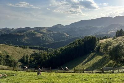 Teren de 22632 mp, în Moieciu - 12