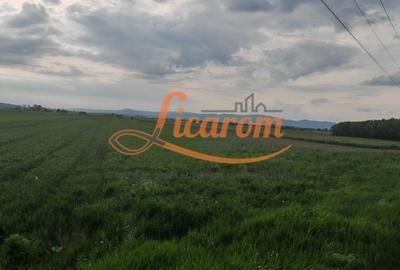 Teren agricol extravilan de 4600 mp, în Stupini - 8