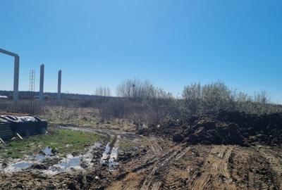 Teren Construcții intravilan de 8300 mp, în Dara - 4