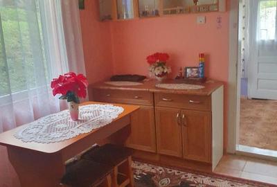 Casă cu 2 camere în Robești