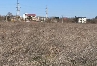 Teren Construcții intravilan de 1073 mp, în Eforie Nord - 5