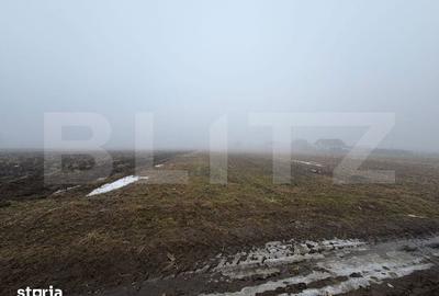 Teren de 2500 mp, în Pătrăuți - 2