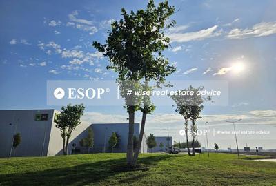 Spațiu industrial, de 2,000 mp, în Bolintin-Deal - 5