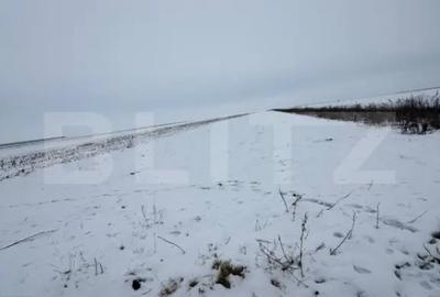 Teren de 9000 mp, în Central