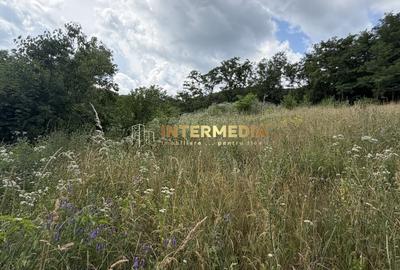 Teren Construcții intravilan de 1257 mp, în Meteș - 11