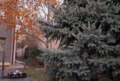 Casă individuală cu 10 camere cu Canalizare în Tineretului - 12