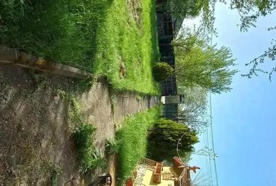 Casă cu 3 camere cu Teren 938 Mp în Gruiu - 6