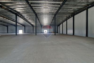 Spațiu industrial, de 18,382 mp, în Afumați