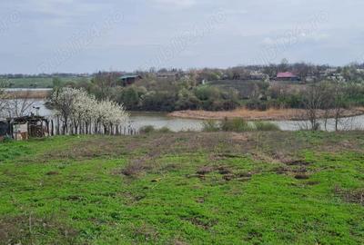 Teren în Drăgoești