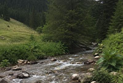 Teren de 4961 mp, în Vărădia de Mureș