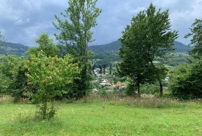 Teren intravilan de 5360 mp, în Tiha Bârgăului - 3