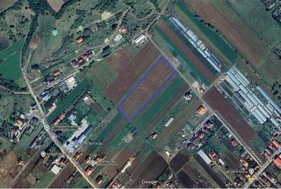 Teren Construcții intravilan de 13000 mp, în Sântana de Mureș - 1