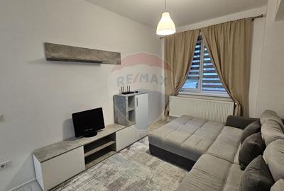 Apartament cu 2 camere decomandat, mobilat în Sfântu Ilie - 7