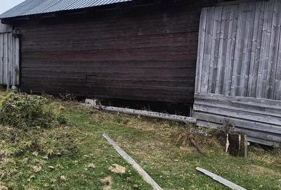 Casă în Albac - 1