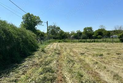 Teren de 1424 mp, în Bărcănești - 8
