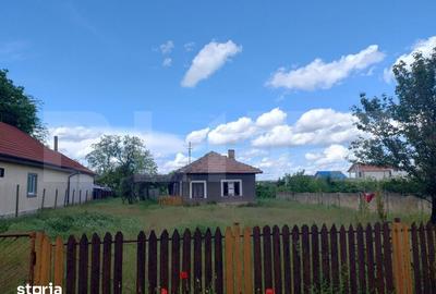 Casă cu 2 camere cu Teren 1362 Mp în Malu Mare - 4