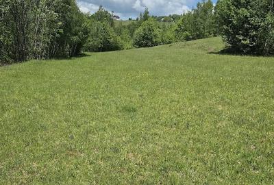 Teren de 3000 mp, în Ponor - 2