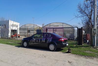 Teren Construcții intravilan de 3144 mp, în Roșiori