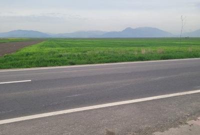 Teren Construcții intravilan de 15000 mp, în Prejmer - 1