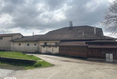 Spațiu comercial, de 4,000 mp, în Motru - 5