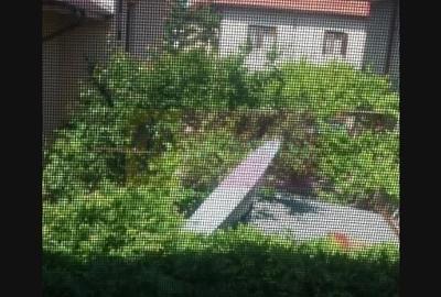 Casă individuală cu 6 camere decomandat cu Canalizare în Drumul Sării - 1