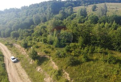 Teren de 1000 mp, în Sălicea - 5