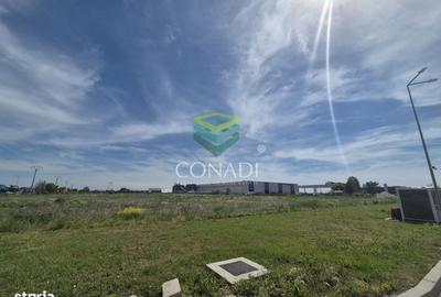 Spațiu comercial, în Bolintin-Deal - 7