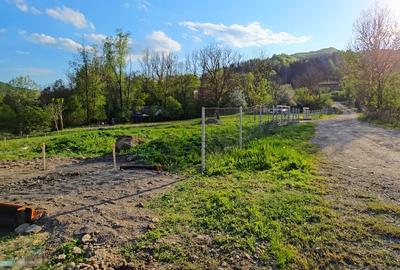 Teren Construcții intravilan de 2490 mp, în Bozioru