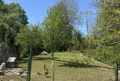Casă cu 3 camere cu Teren 700 Mp în Poiana - 2