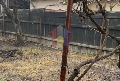 Casă cu 3 camere cu Teren 264 Mp în Buzaului - 2