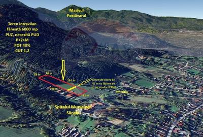 Teren Construcții intravilan de 6000 mp, în Poiana Angelescu - 1